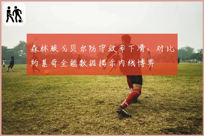 森林狼戈贝尔防守效率下滑，对比约基奇全能数据揭示内线博弈