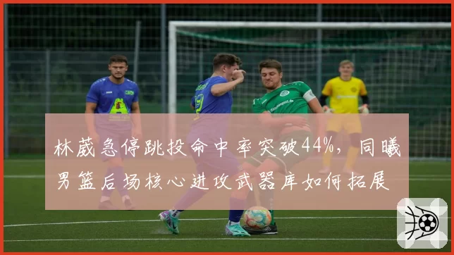 林葳急停跳投命中率突破44%,同曦男篮后场核心进攻武器库如何拓展?