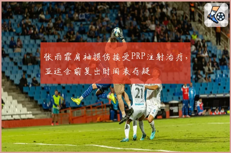张雨霏肩袖损伤接受PRP注射治疗，亚运会前复出时间表存疑